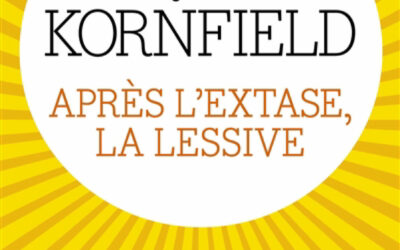 Thérapie IFS : mieux se connaître après l’extase, la lessive